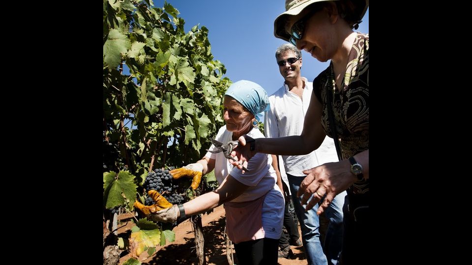Tenute Rubino, per l'export vitigni autoctoni del Salento&nbsp;