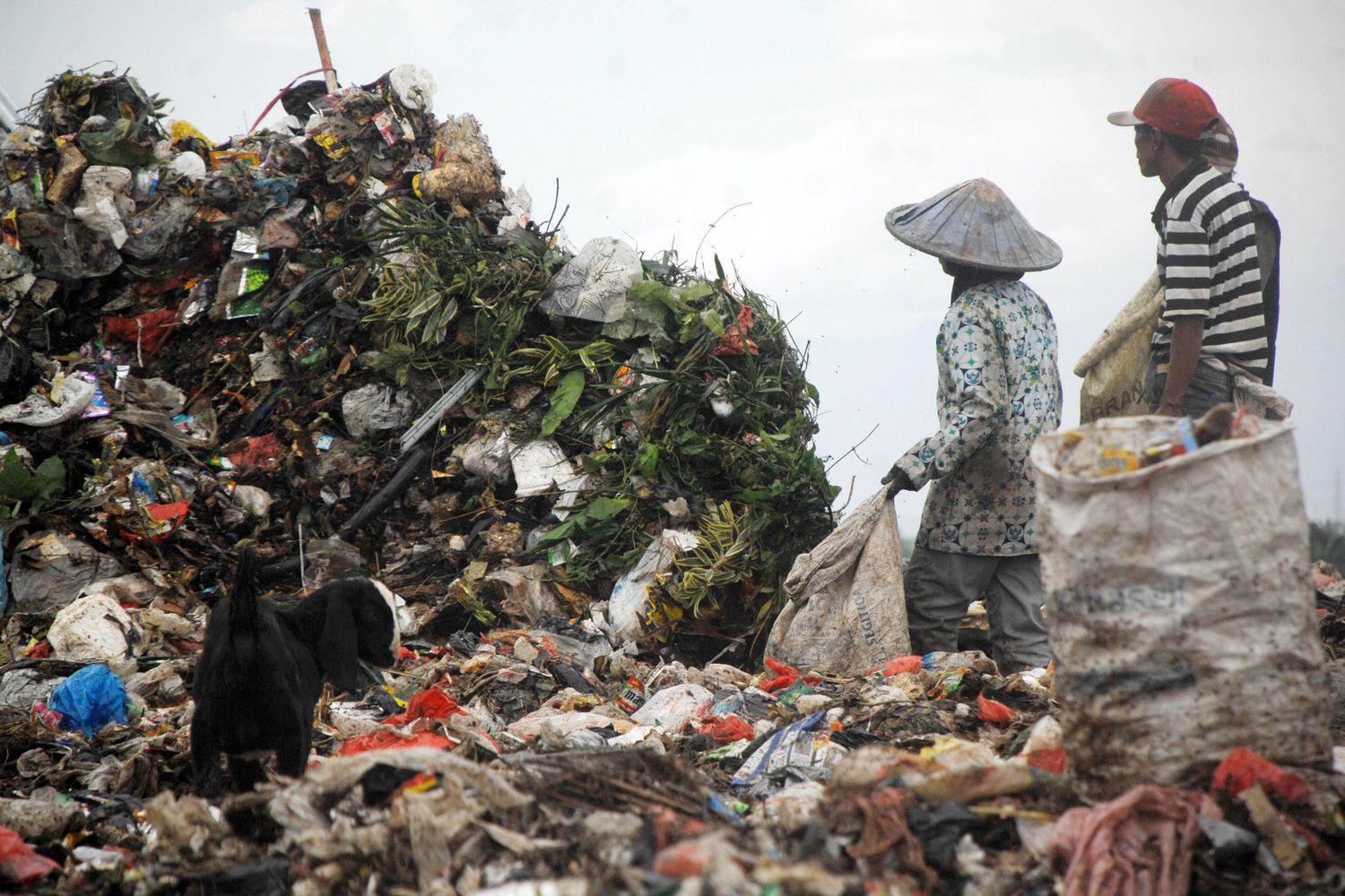 giacarta (afp)&nbsp;