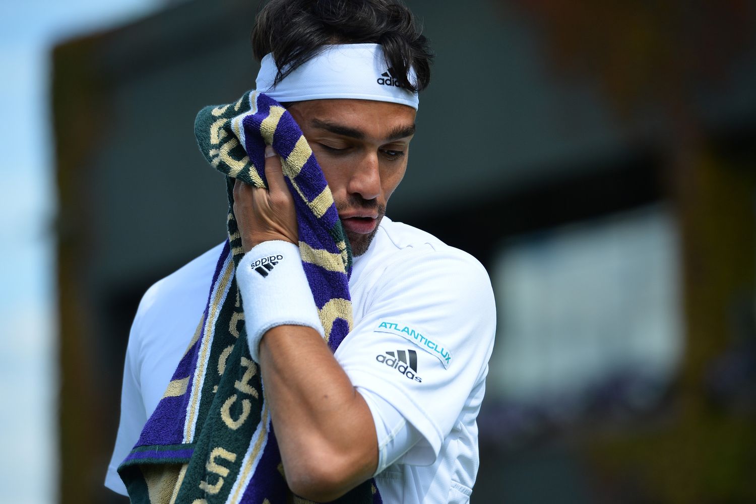 &nbsp;wimbledon fabio fognini - afp