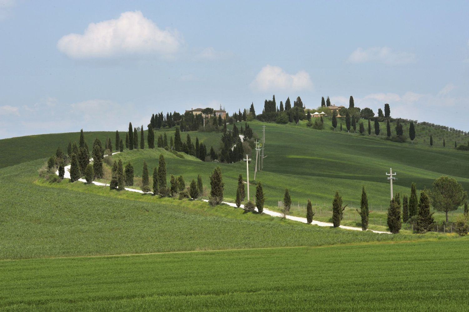 Toscana Chianti (Agf)&nbsp;