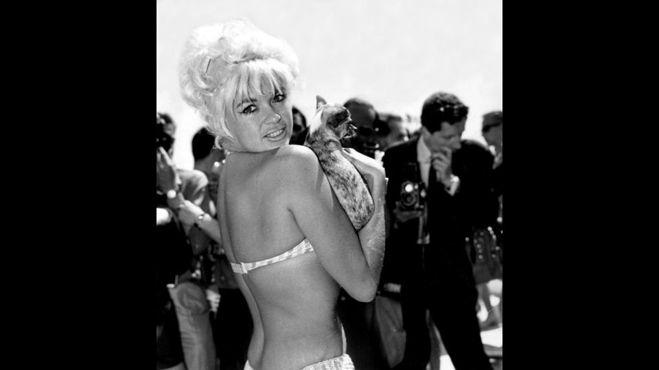 Jayne Mansfiesld in bikini sulla spiaggia con il suo Chiuahua a Cannes - 11 maggio 1964&nbsp;