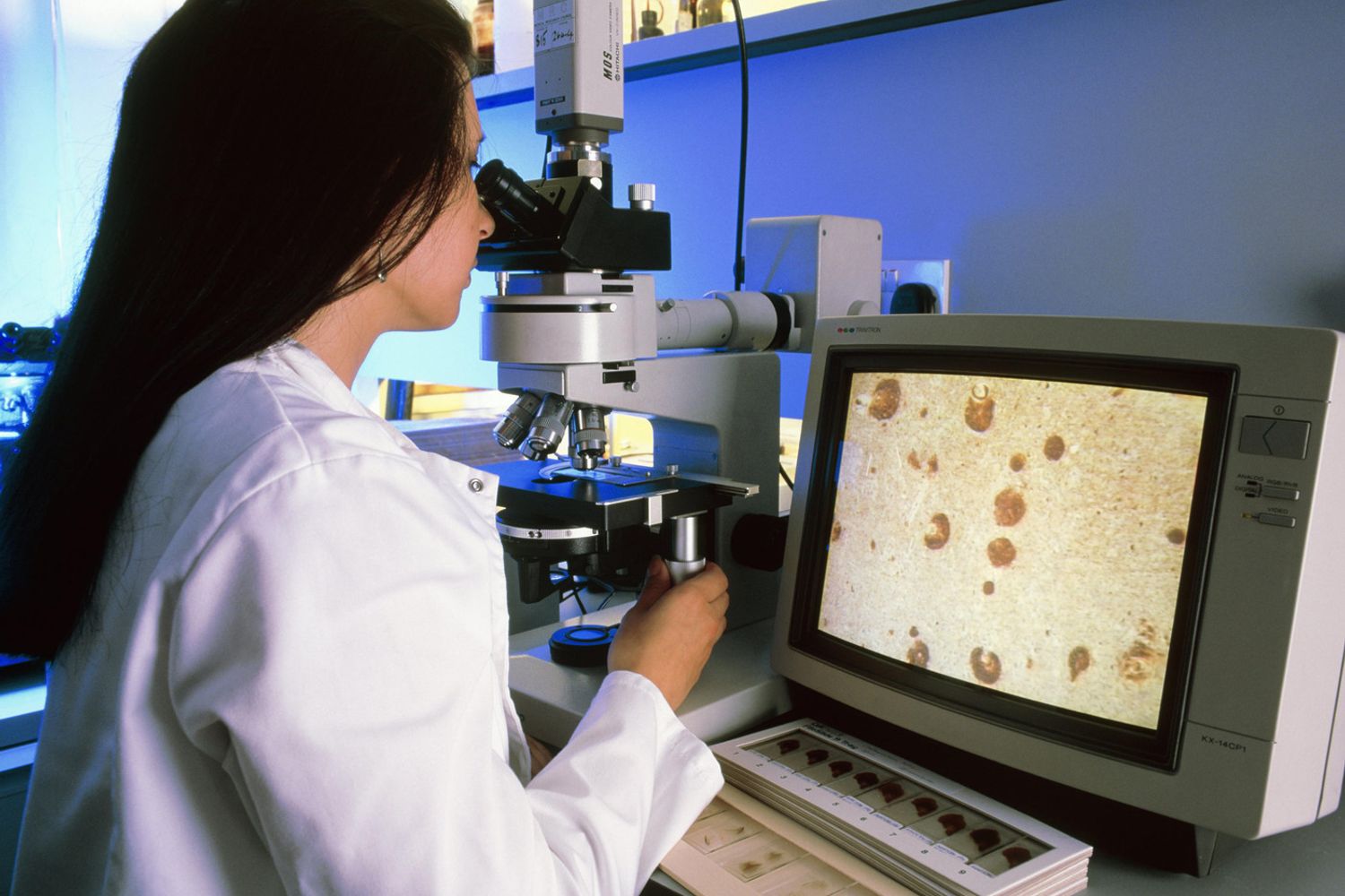 &nbsp;Ricerca, analisi, laboratorio