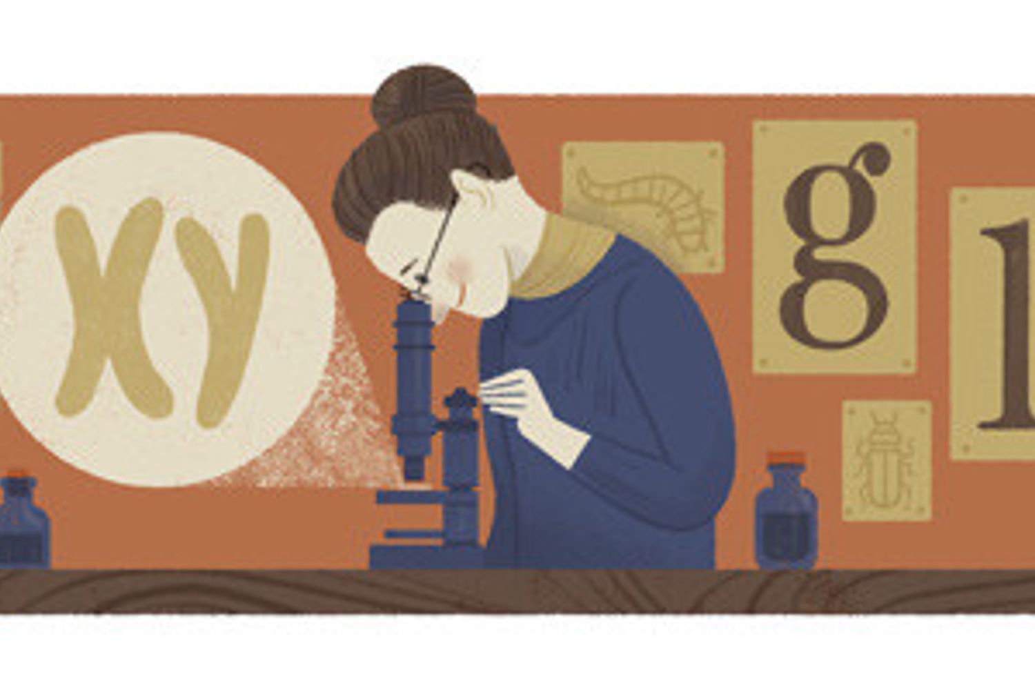 Doodle google Nettie Stevens