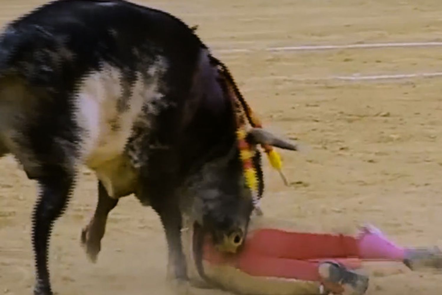 Victor Barrio, torero&nbsp;