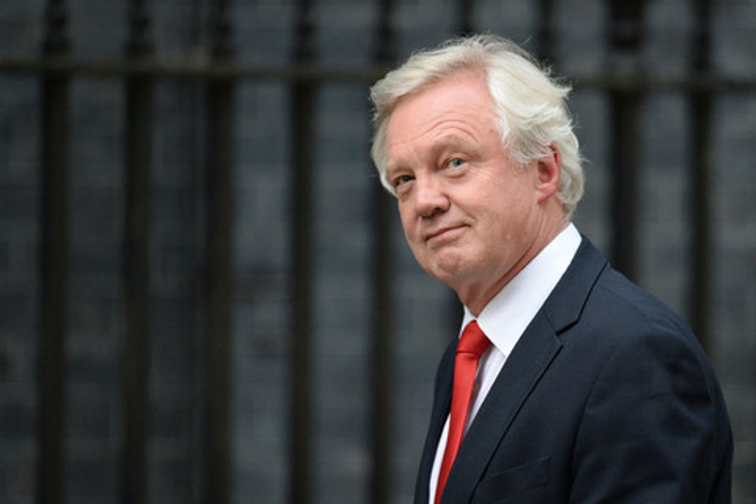 David Davis (Afp)&nbsp;