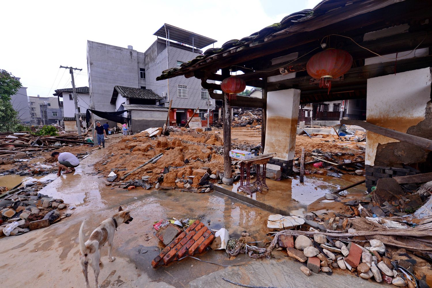 &nbsp;Cina tifone&nbsp;nepartak - afp