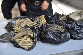 &nbsp;droga&nbsp;hashish sequestro - afp