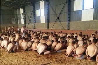 golpisti ammassati Turchia (twitter)&nbsp;