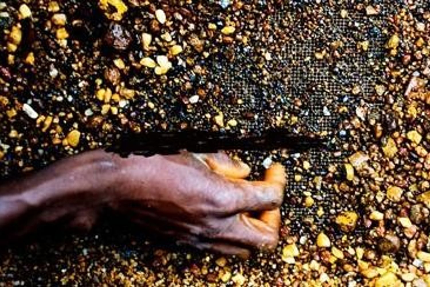 Redemption Song&nbsp;