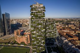 Sfida tra Milano e Seul per aggiudicarsi il congresso forestale mondiale&nbsp;