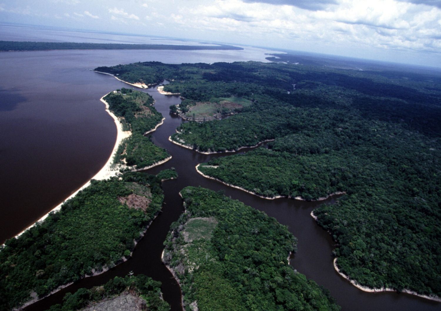 &nbsp;Brasile Rio delle Amazzoni e foresta amazzonica (Agf)