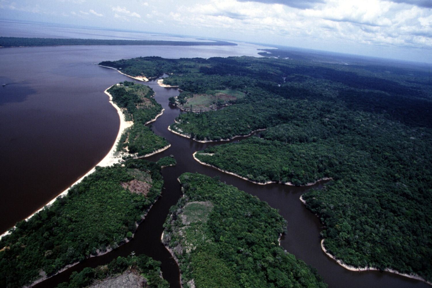 Brasile Rio delle Amazzoni e foresta amazzonica (Agf)