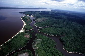 Brasile Rio delle Amazzoni e foresta amazzonica (Agf)