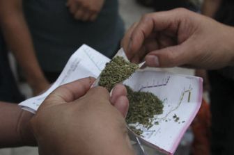 &nbsp;cannabis marijuana canna fumo fumare &nbsp;hashish droga erba&nbsp;