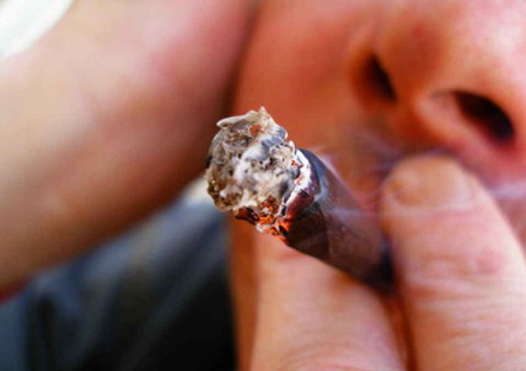 cannabis marijuana canna fumo fumare  hashish droga erba