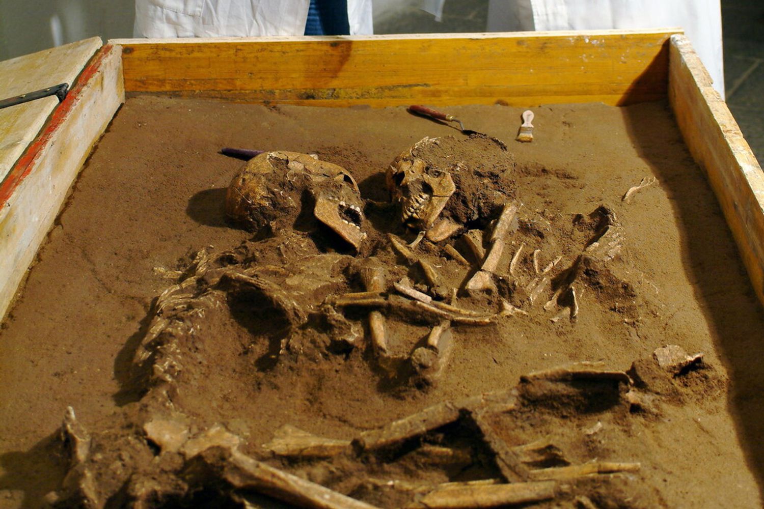 &nbsp; resti di ossa umane