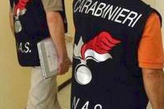 &nbsp; carabinieri nas