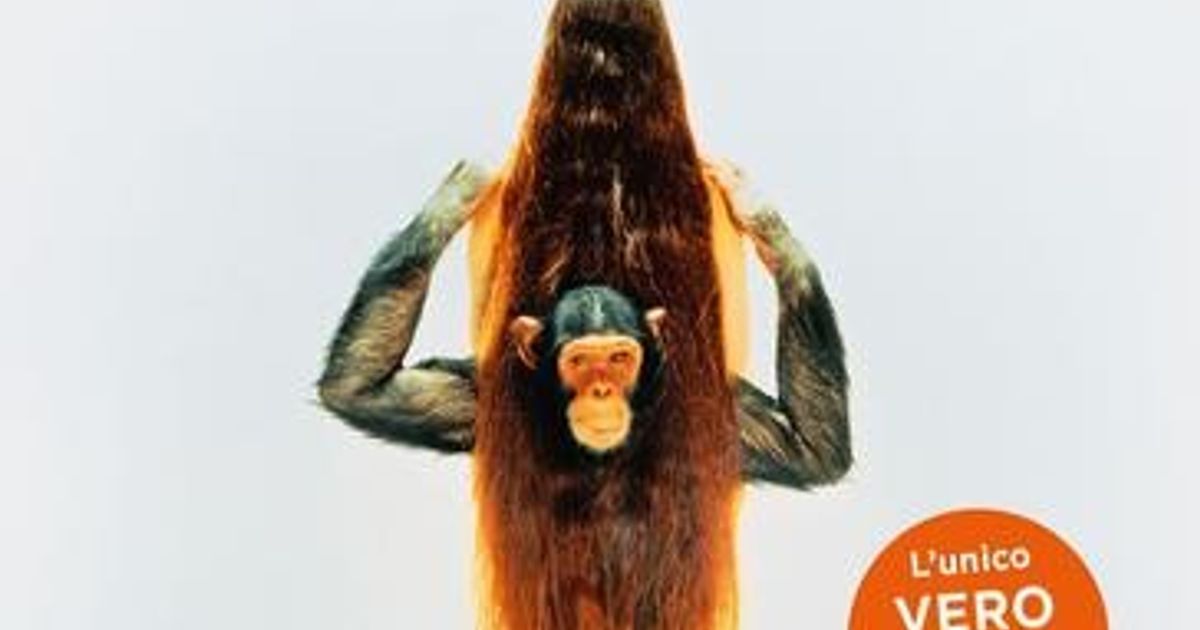 'Manuale distruzione', l'unico 'vero' libro di storia