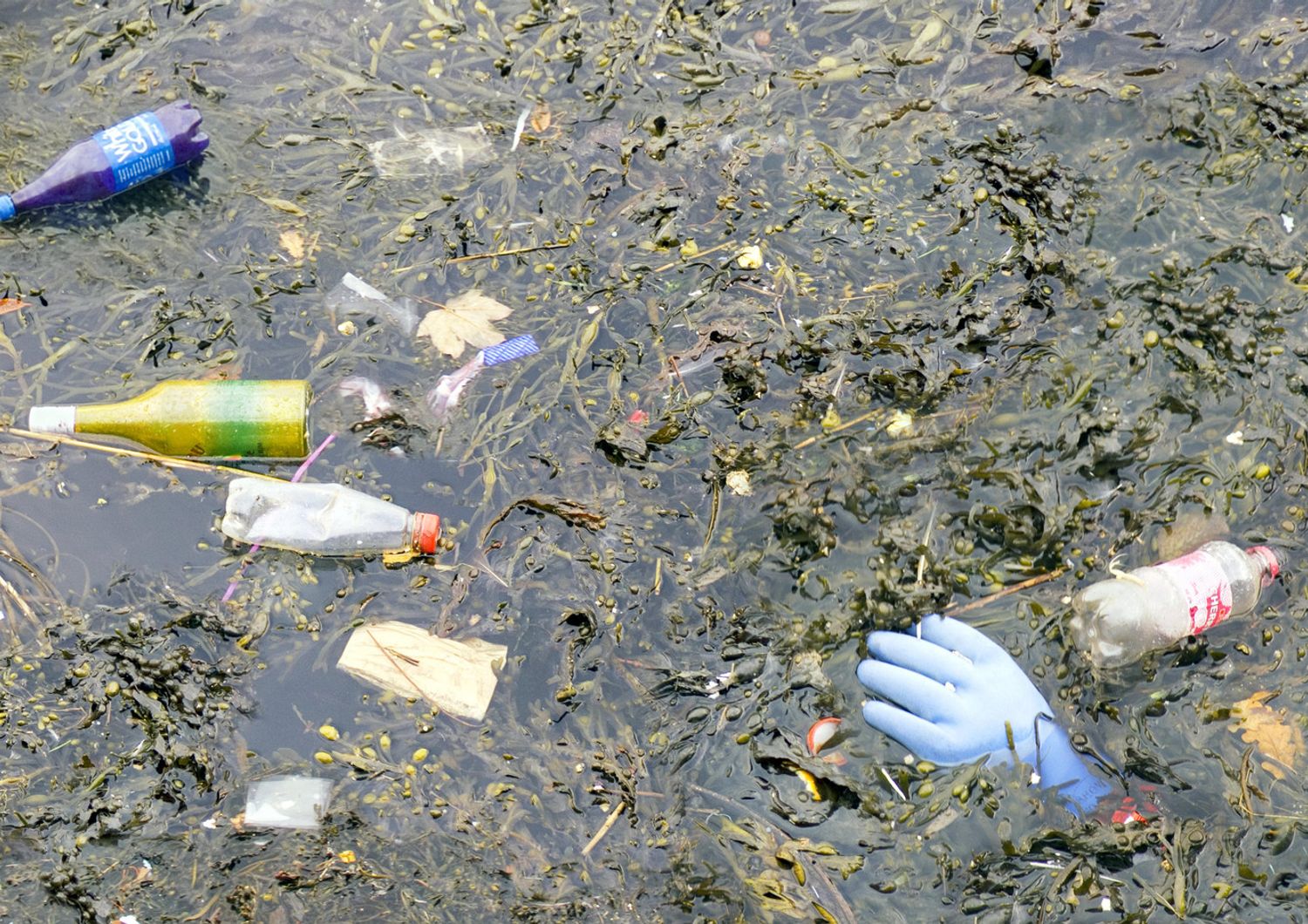 &nbsp;Inquinamento - rifiuti in mare (Agf)