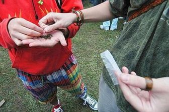 droga spacciatore spaccio marijuana hashish fumo erba