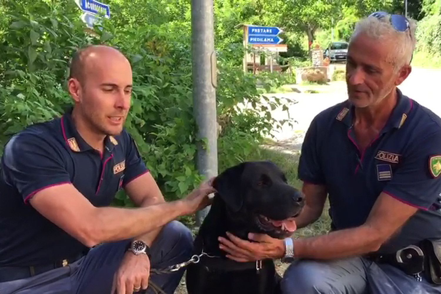 &nbsp;Terremoto cane Leo