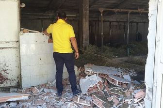 &nbsp;Terremoto sisma Amatrice rieti animali aziende agricole