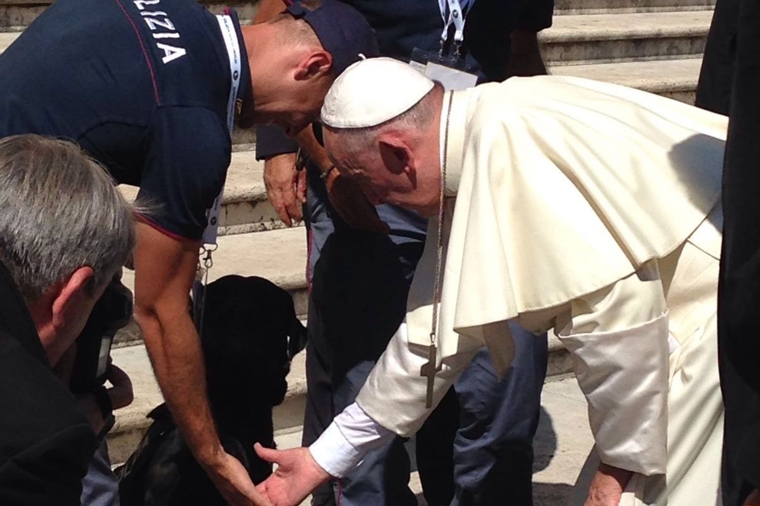 &nbsp;Papa cinofili polizia cane Leo