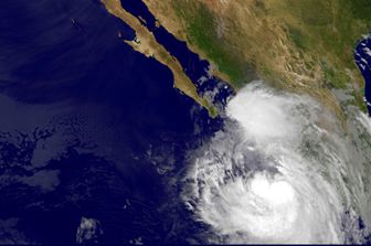&nbsp;Tempesta Newton