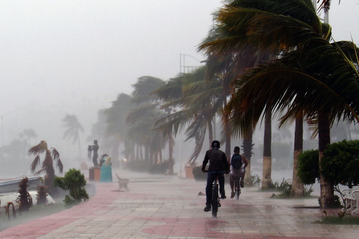 &nbsp;Tempesta Newton