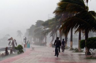 &nbsp;Tempesta Newton