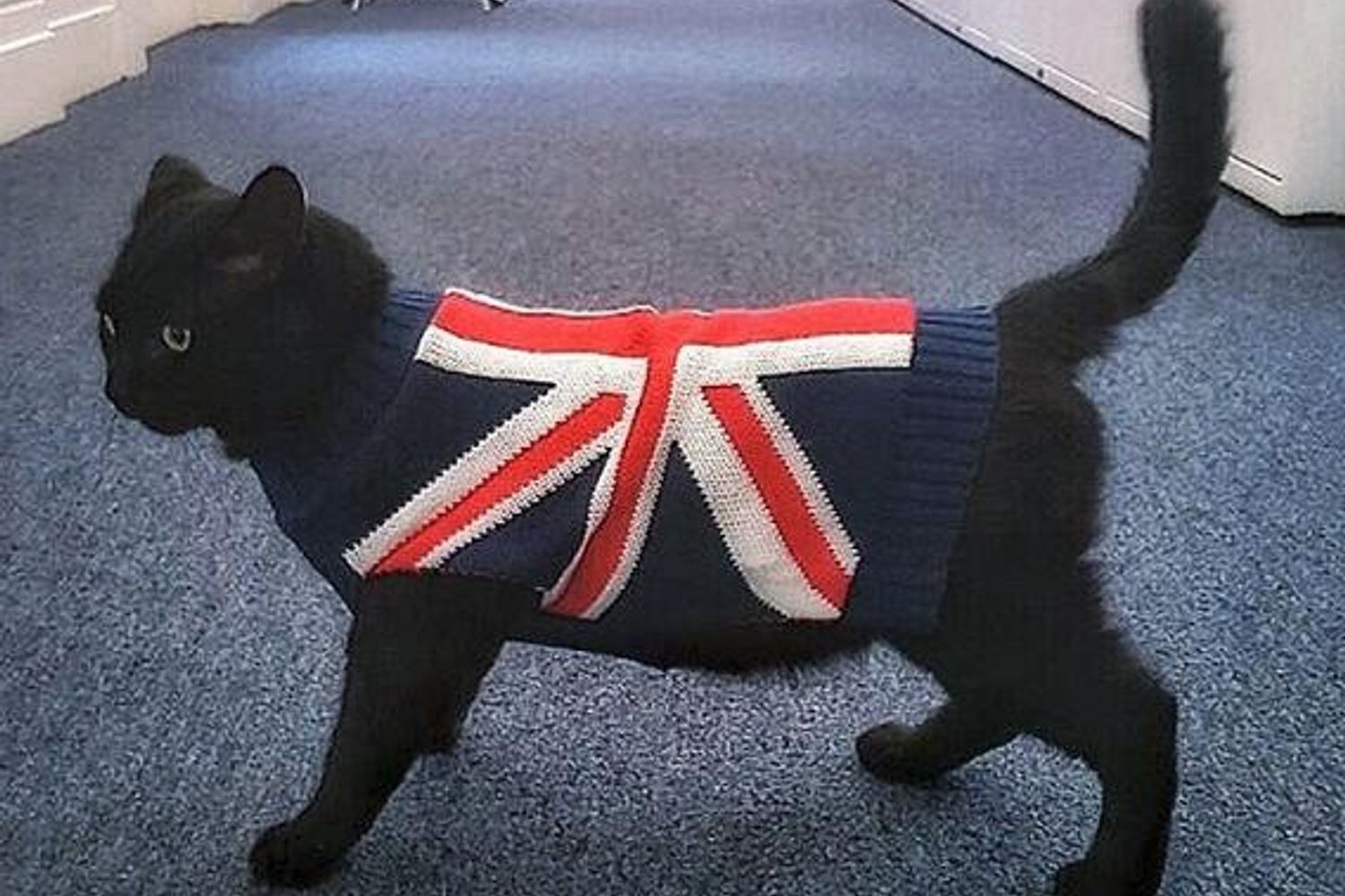 &nbsp;Gladstone l'acchiappatopi del tesoro inglese