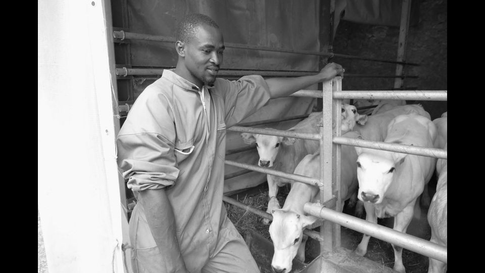 Goumba Camara, al lavoro in un'azienda agricola