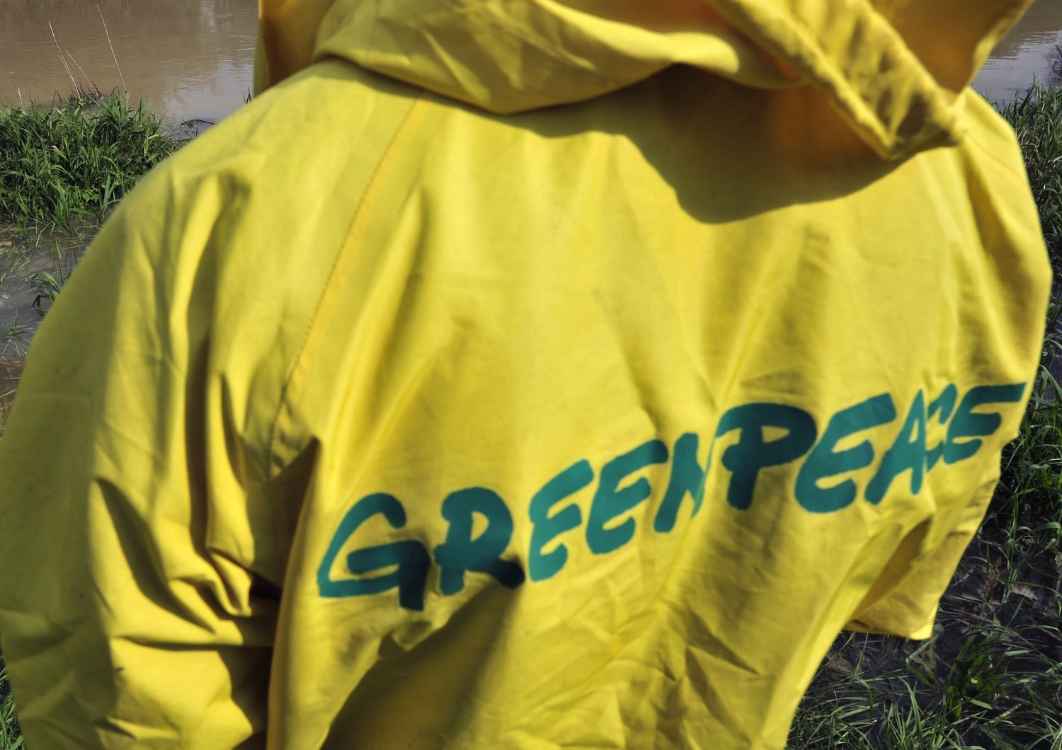 &nbsp;Greenpeace