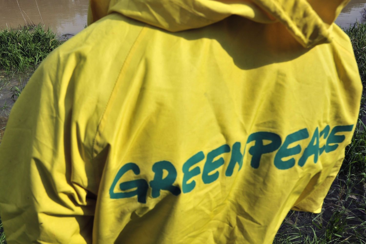&nbsp;Greenpeace