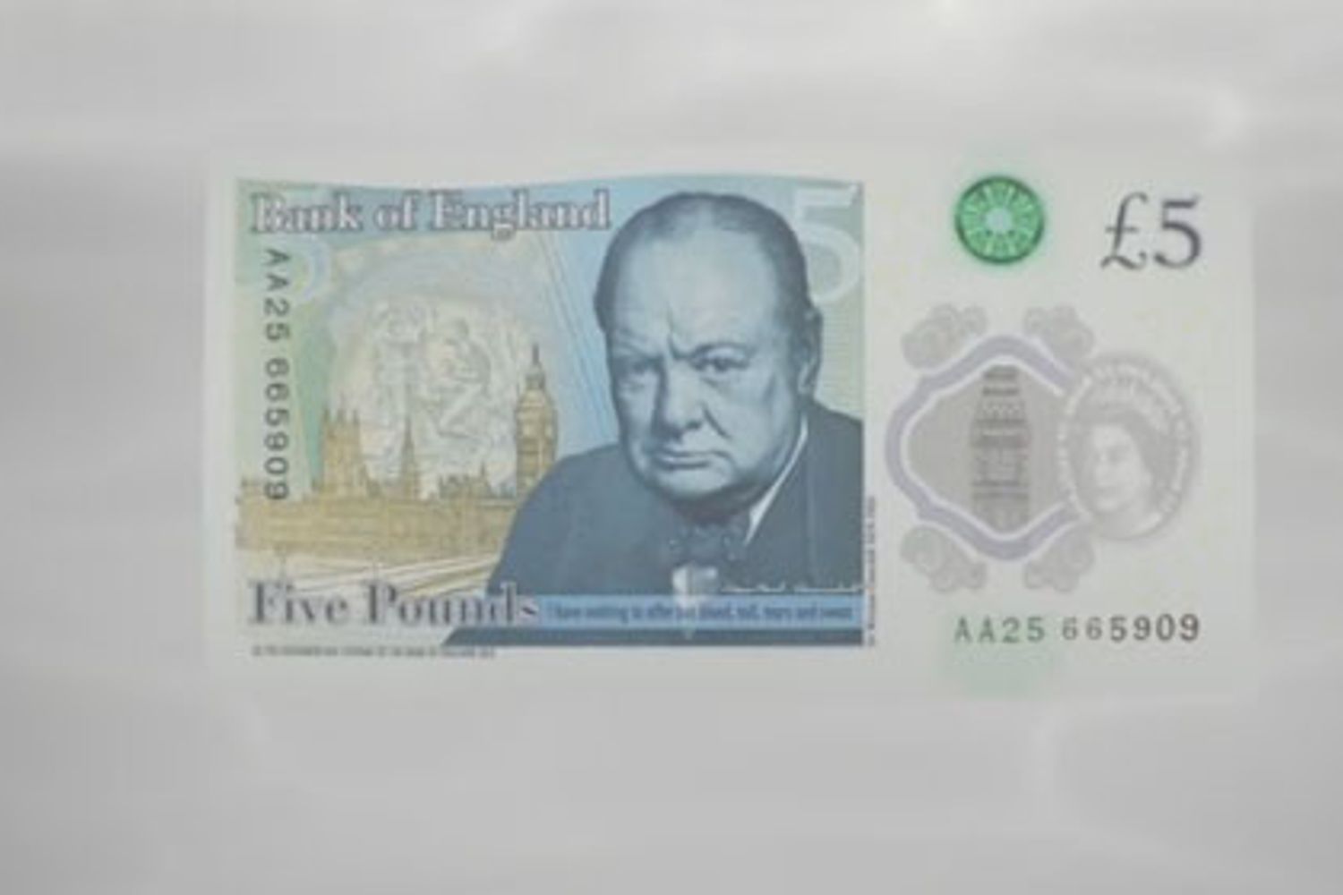 sterlina di plastica&nbsp;