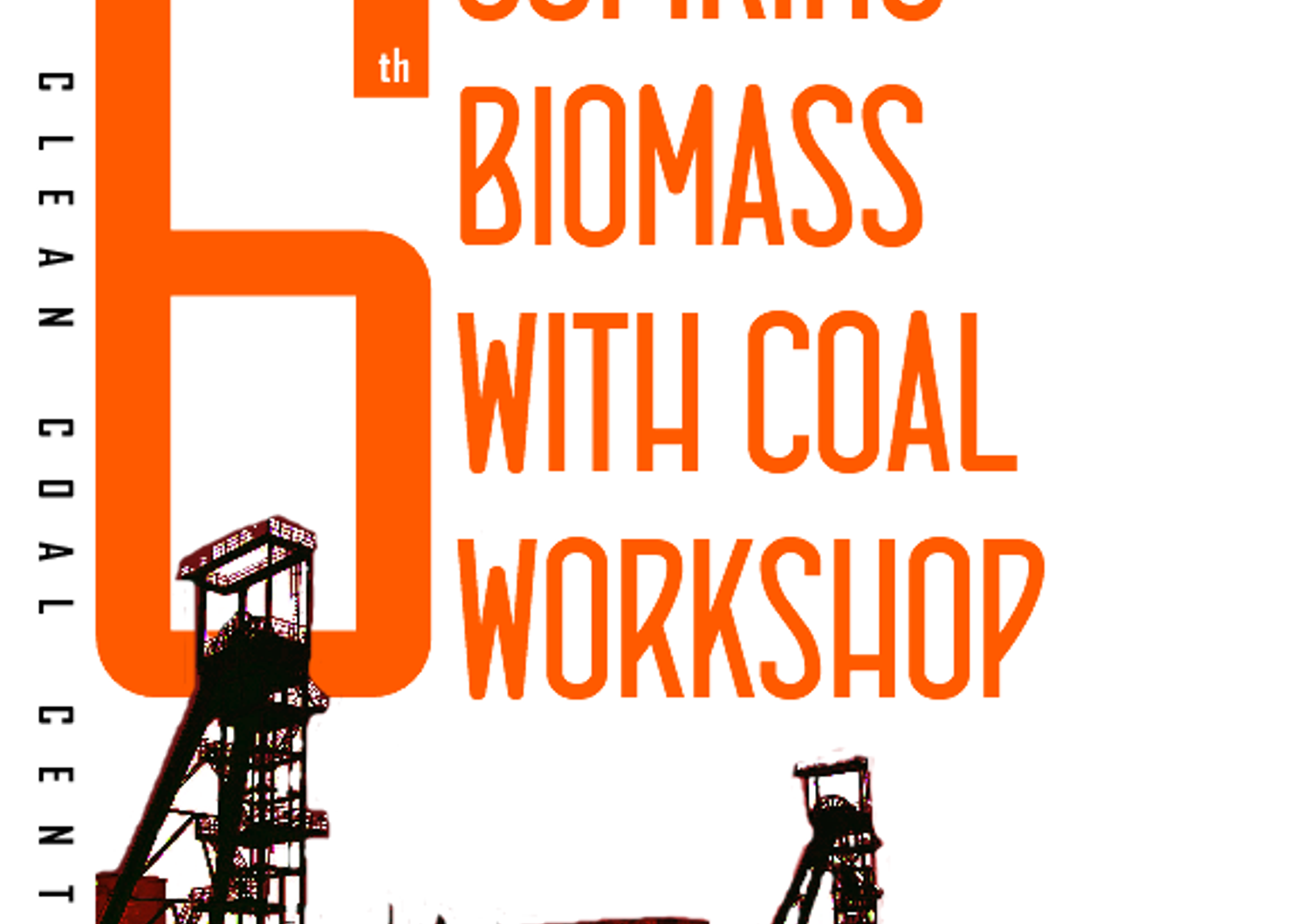 &nbsp;Workshop &quot;Cofiring biomass with coal&quot; (IEA)
