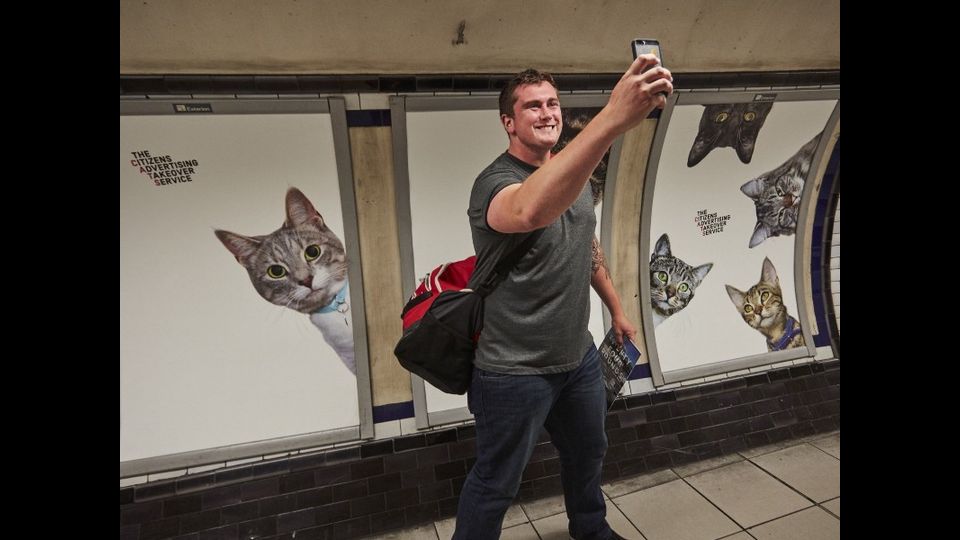 &nbsp;Foto gatti invadono metro di Londra, &quot;basta pubblicit&agrave;&quot;