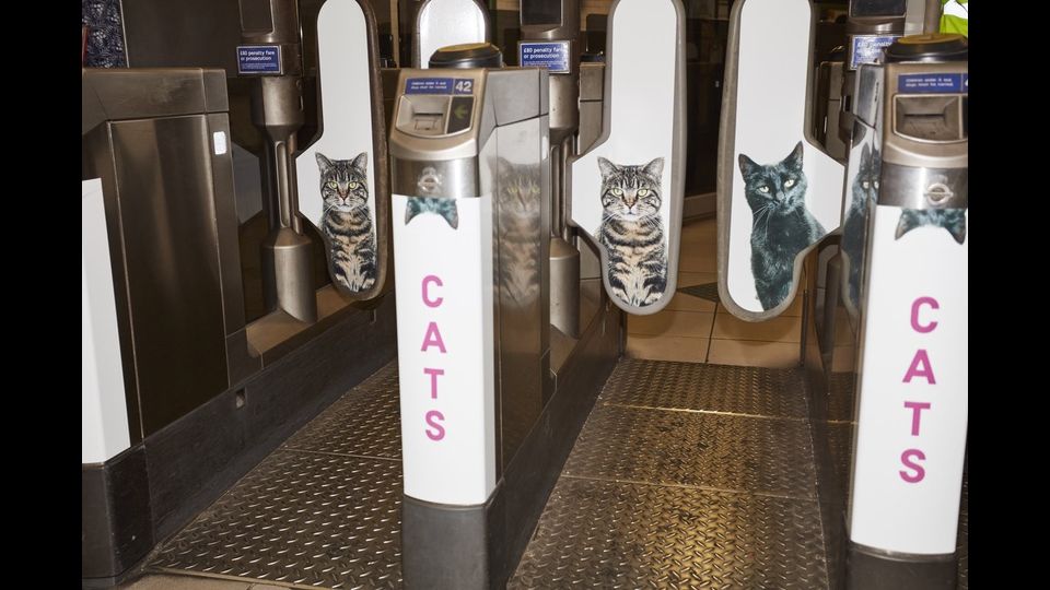 &nbsp;Foto gatti invadono metro di Londra, &quot;basta pubblicit&agrave;&quot;
