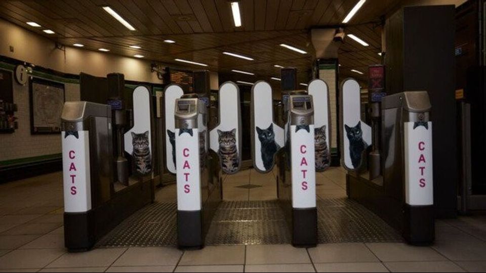 &nbsp;Foto gatti invadono metro di Londra, &quot;basta pubblicit&agrave;&quot;