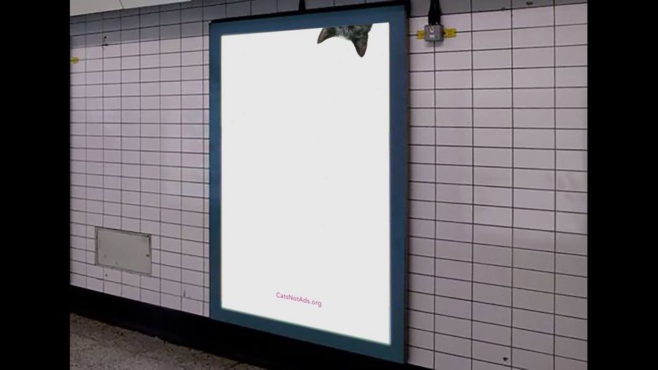 &nbsp;Foto gatti invadono metro di Londra, &quot;basta pubblicit&agrave;&quot;