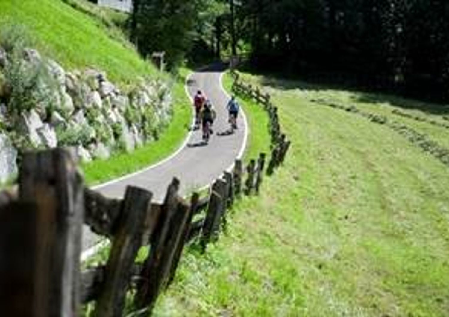 TRENTINO ALTO ADIGE (Brennero &ndash; Bolzano)  Premio - Territorio Bike Friendly  &nbsp;  &lsquo;La ciclovia perfetta&rsquo;. &Egrave; l&rsquo;estrema sintesi della motivazione della giuria per il Premio Territorio Bike Friendly assegnato a questo percorso di 100km che percorre la Valle Isarco, da Vipiteno a Bressanone, da Chiusa fino a Bolzano, tra citt&agrave; d&rsquo;arte e verdi boschi.  Photocredit: Alex Filz