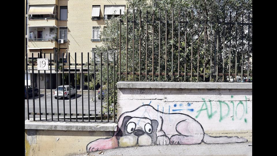 &nbsp;II edizione di Muracci Nostri a Primavalle, con oltre 50 nuove opere, finanziata con un crowdfunding online e donazioni di residenti. Quest&rsquo;anno la manifestazione &egrave; dedicata a Gian Maria Volont&egrave;&nbsp;&nbsp;