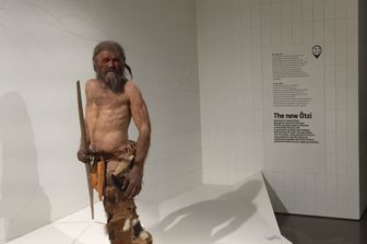 &nbsp;Oetzi
