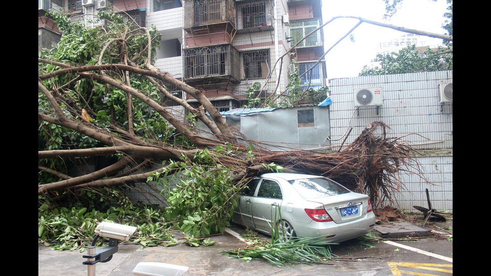 &nbsp;Il tifone Malaska (Afp)