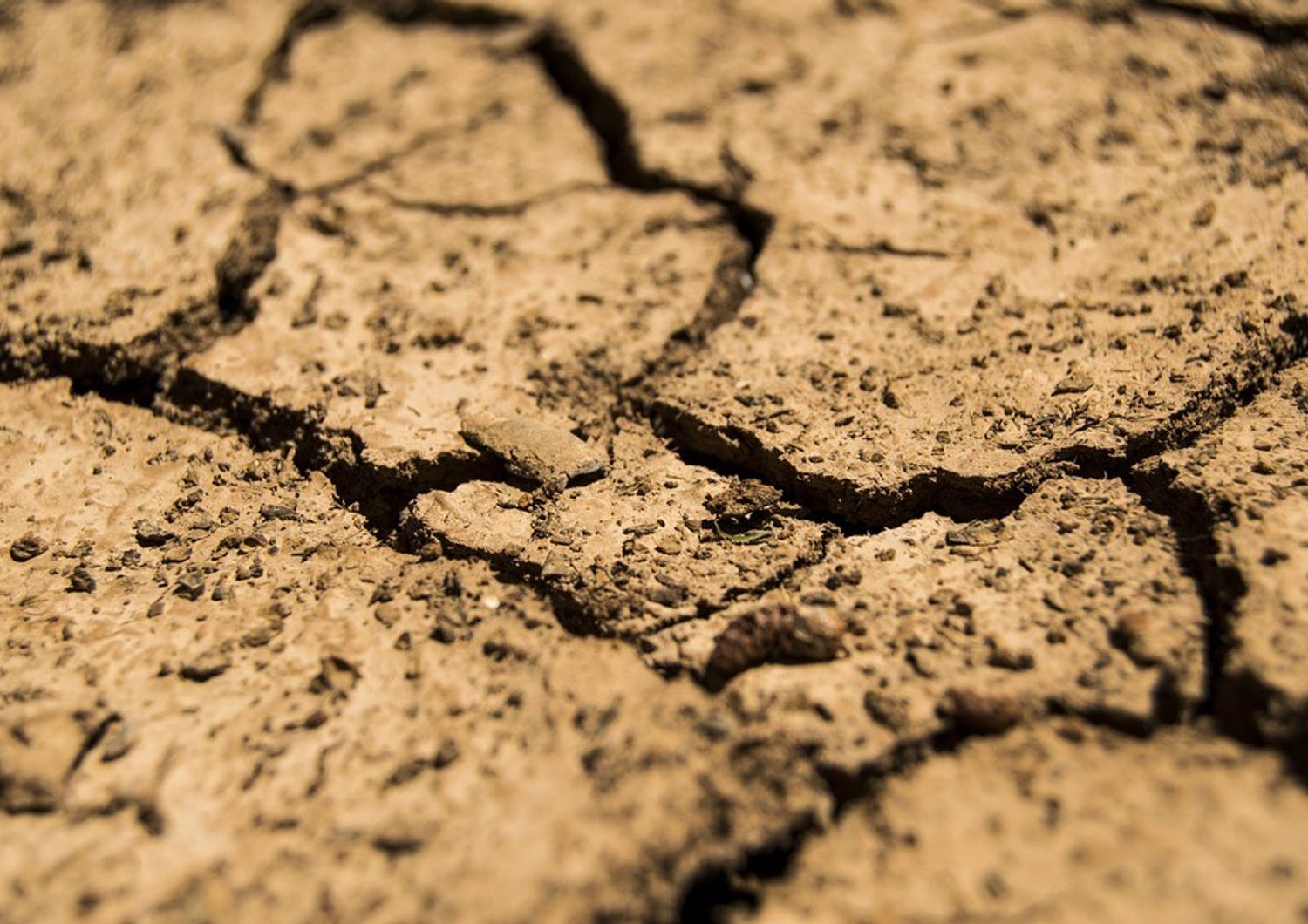 &nbsp;siccit&agrave; aridit&agrave; secco terra terreno