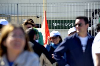 Natuzzi (Agf)&nbsp;