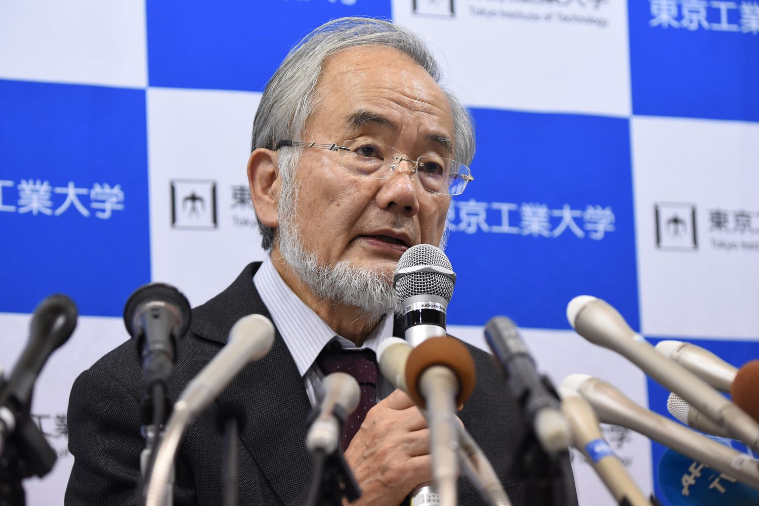 Yoshinori Ohsumi