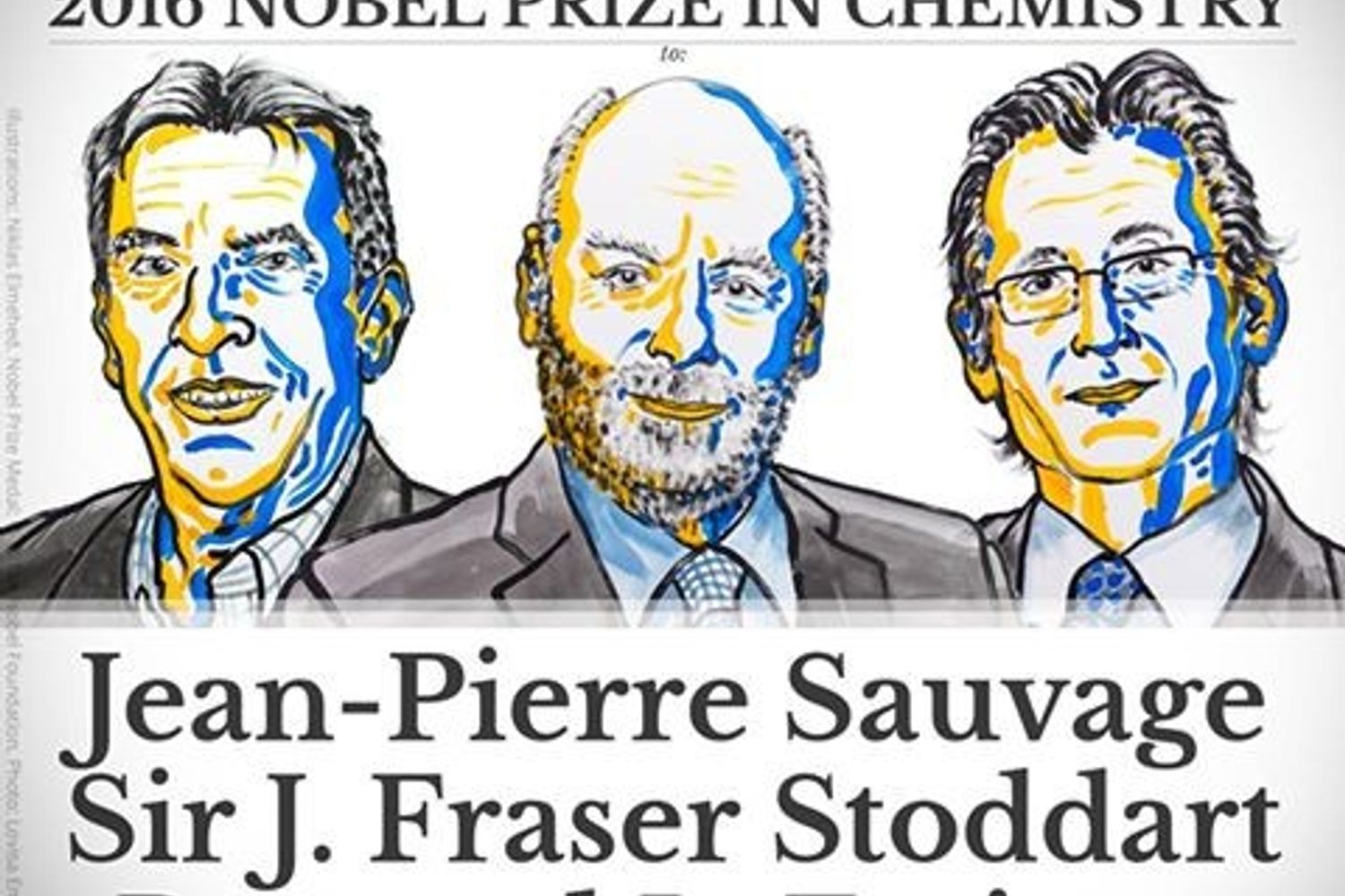 Nobel per la chimica