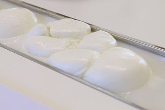 &nbsp;Mozzarella di bufala (foto fb)