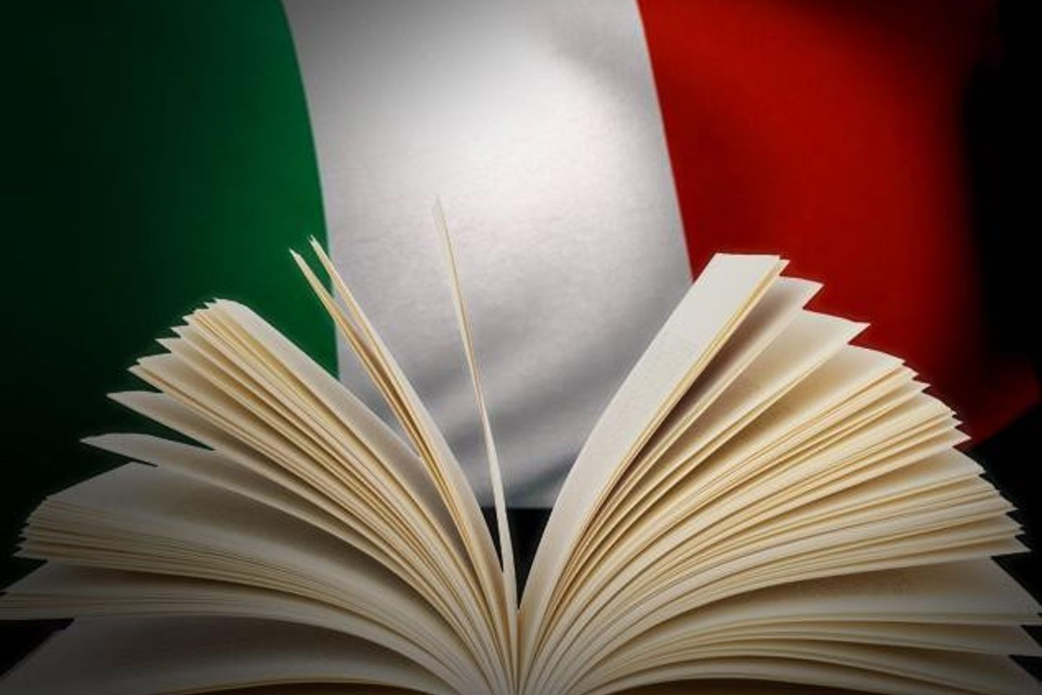 Immagini Referendum (FOTO DA PRENDERE) (foto Franco Cristino)&nbsp;